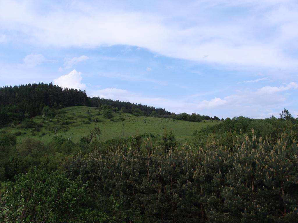 Angel Apartment Krynica Zdroj Εξωτερικό φωτογραφία
